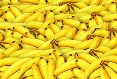 yellow bananas 